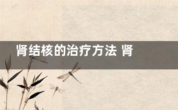 肾结核的治疗方法 肾结核的原因及治疗方法